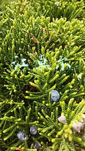 江卓尔微博(江卓尔微博爆料：疑似有神秘人物开始在熊市大量屯币)