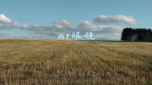mr眼镜
