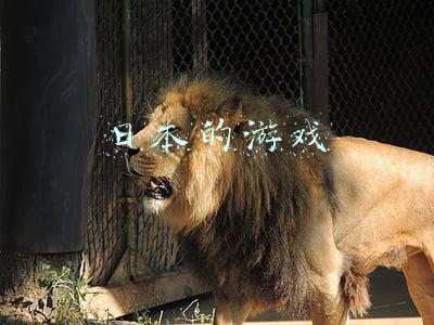 日本的游戏