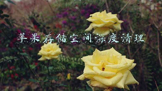 苹果存储空间深度清理