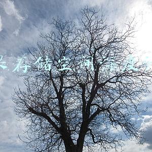 苹果存储空间深度清理