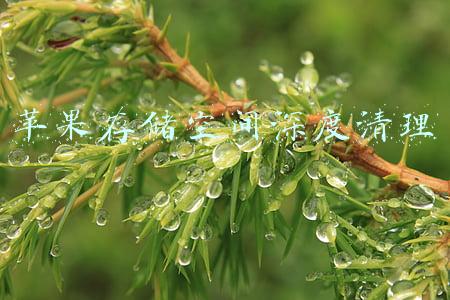 苹果存储空间深度清理