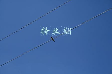 择业期