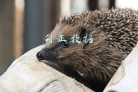 勾正数据