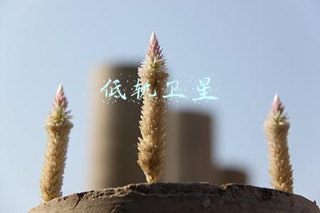 低轨卫星星座(银河航天02批卫星发射 组成中国首个低轨宽带通信试验星座)