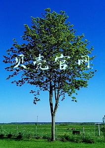 贝壳官网