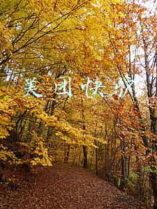 美团快驴