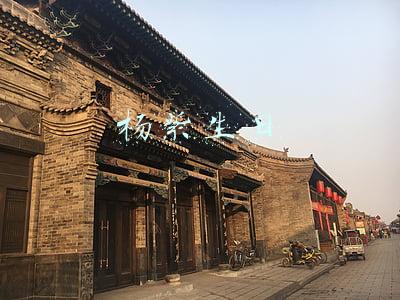 杨紫生日