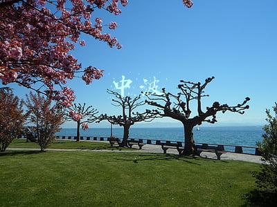 中波