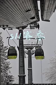 s11赛季