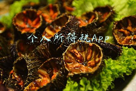 个人所得税App