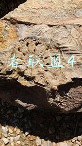 复仇者联盟4票房