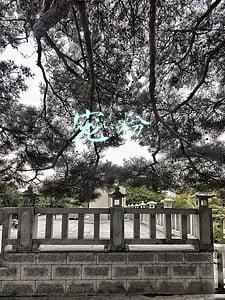 宠粉活动文案(福利全开｜双十一，我不允许你没看过这份劲爆特价的宠粉宣言！)