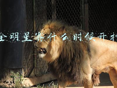 全明星赛什么时候开打