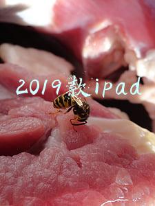 2019款ipad