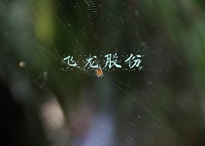 飞龙股份