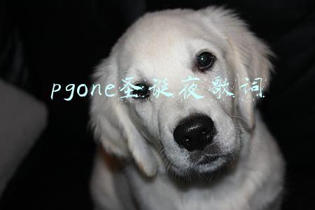 pgone圣诞夜歌词 pgone圣诞夜歌词