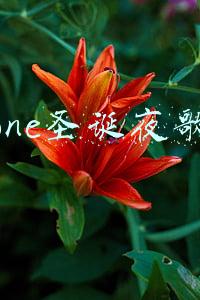圣诞节歌词pgone(圣诞夜pgone歌词原文全文 人民日报批PGONE圣诞夜原因)