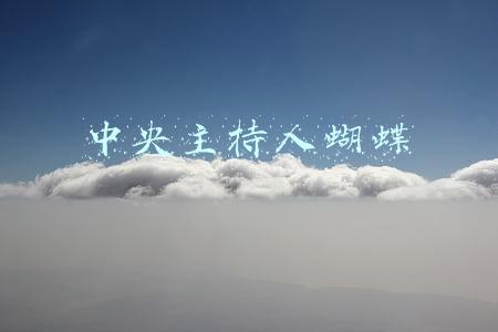 中央主持人蝴蝶