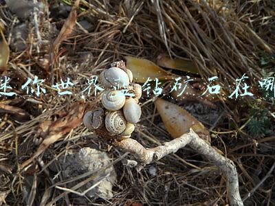 迷你世界蓝钻矿石在哪