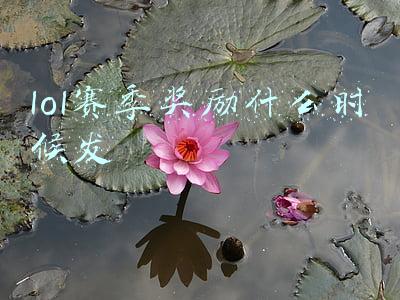 lol赛季奖励什么时候发