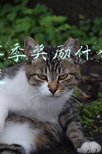 lol赛季奖励什么时候发