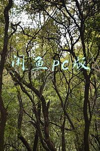 闲鱼pc版