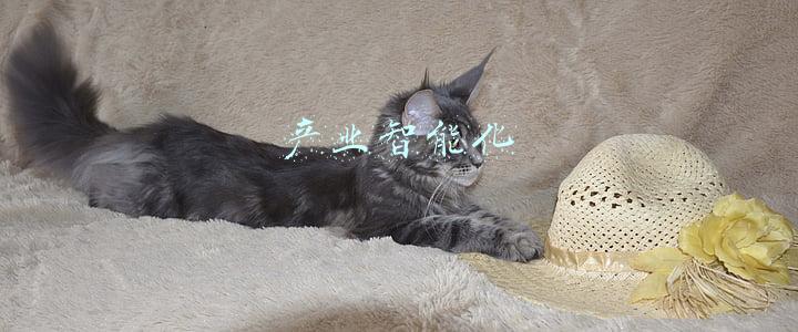 产业智能化 产业智能化