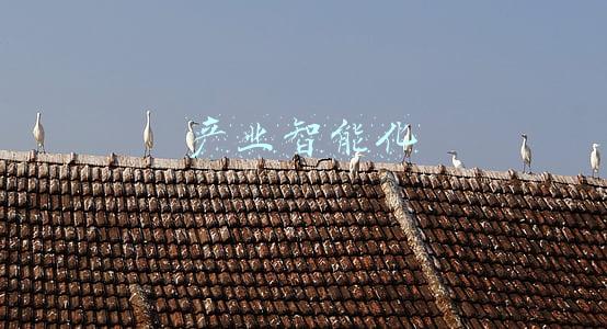 产业智能化