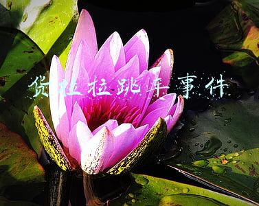货拉拉跳车事件