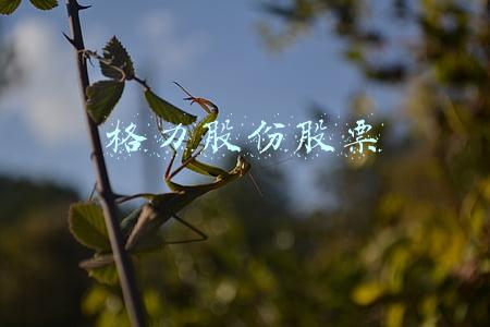 格力股份股票