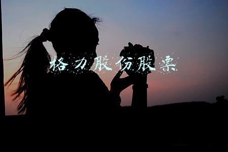 格力股份股票价格(5连阴！格力电器股价跌回2年前，市值蒸发1100亿，高瓴或被套)