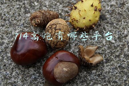 714高炮有哪些平台击垮啦(莫开伟：7000元网贷变成50万 “714高炮”深思)