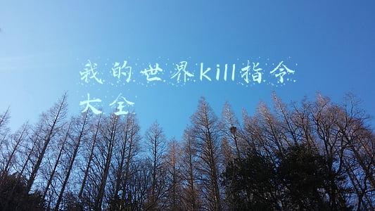 我的世界kill指令大全
