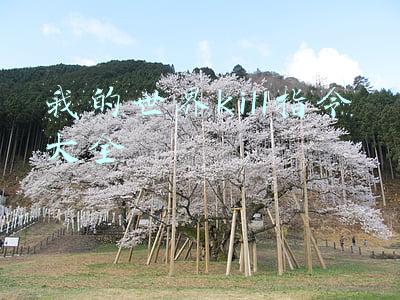 我的世界kill指令大全