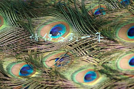 情侣签到一年拿1314是什么软件(情侣签到1年返现1千？爱情不是你想买就能买)