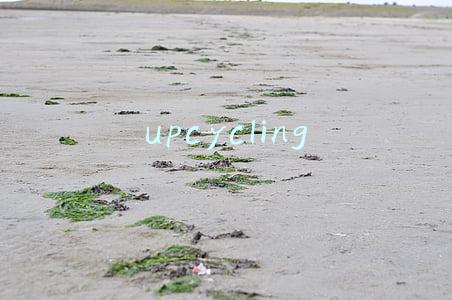 upcycling