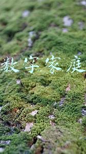 数字家庭