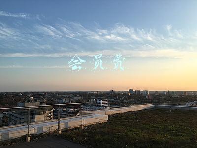 会员费