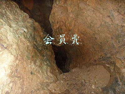 会员费英文(学习与生活类高考英语词汇)