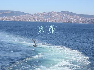 贝昂