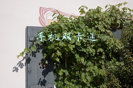 手机双卡通
