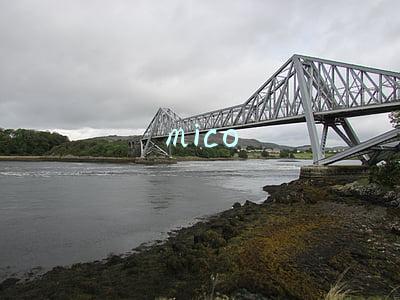 mico
