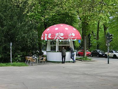 小葵花