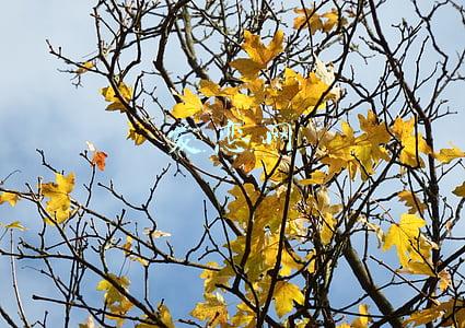 爱恋的英文(交女朋友千万别说make a girlfriend，老外会懵)