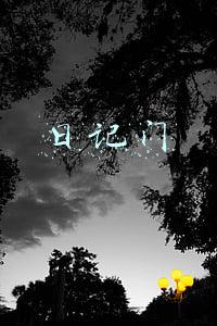 日记门 日记门