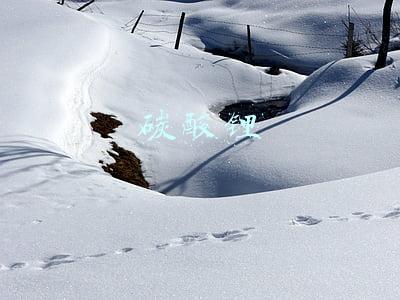 碳酸锂