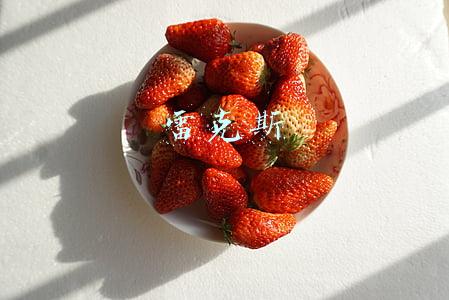 雷克斯