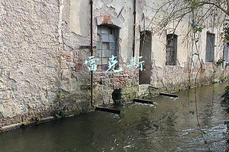 雷克斯