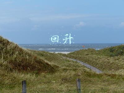 回升